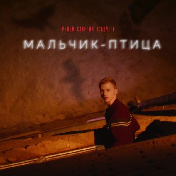 «Зимний-2025»: Обзор фильмов «Мальчик-птица» и «Мальчик и робот»